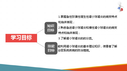 泌尿系统疾病(病理学与病理生理学课件)