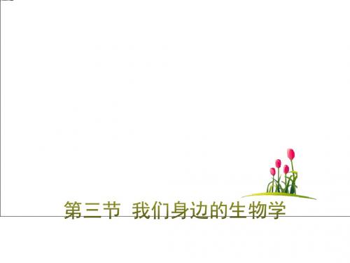 我们身边的生物学-PPT精品教学课件