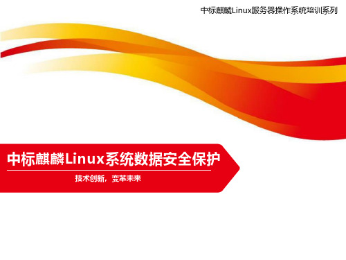 中标麒麟Linux系统数据安全保护