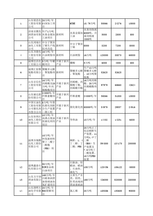 2013年山东省重点建设项目--化工业