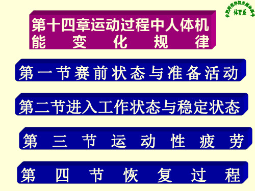 运动过程中人体机能变化规律优秀课件