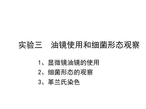 微生物学3 显微镜油镜的使用和细菌形态的观察