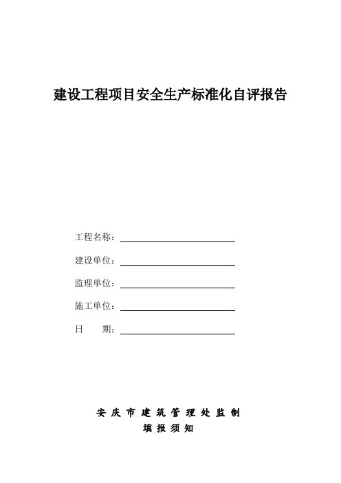 建设工程项目安全生产标准化自评报告