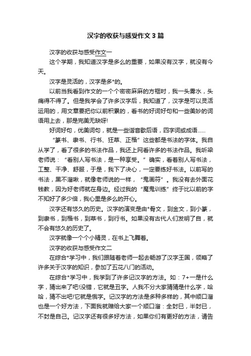 汉字的收获与感受作文3篇