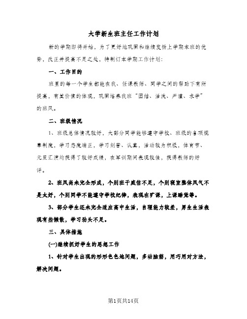 大学新生班主任工作计划（五篇）