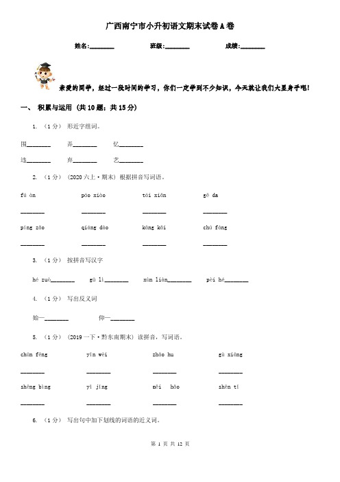 广西南宁市小升初语文期末试卷A卷