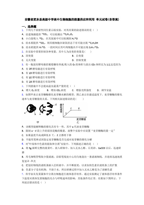 安徽省肥东县高级中学高中生物细胞的能量供应和利用 单元试卷(含答案)