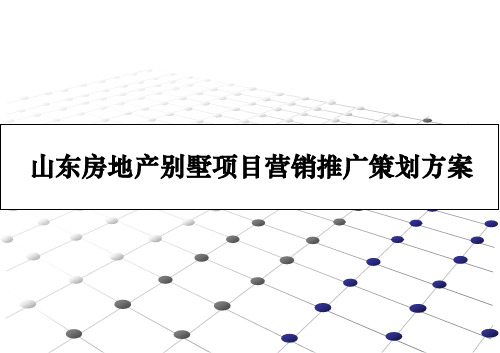 山东房地产别墅项目营销推广策划方案