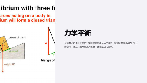 共点力作用下力的平衡