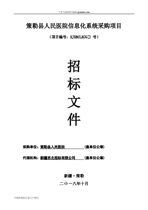 人民医院信息化系统采购项目公示招投标书范本