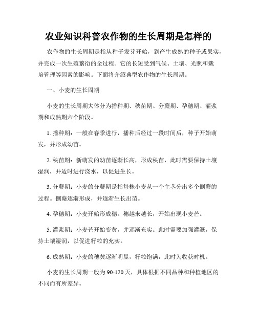 农业知识科普农作物的生长周期是怎样的