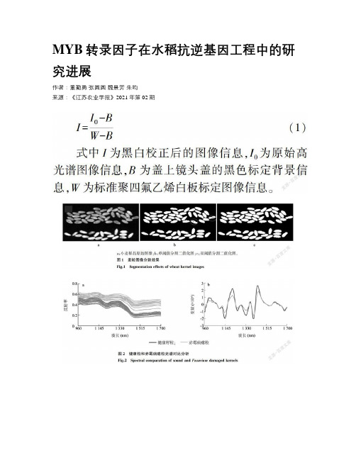 MYB转录因子在水稻抗逆基因工程中的研究进展