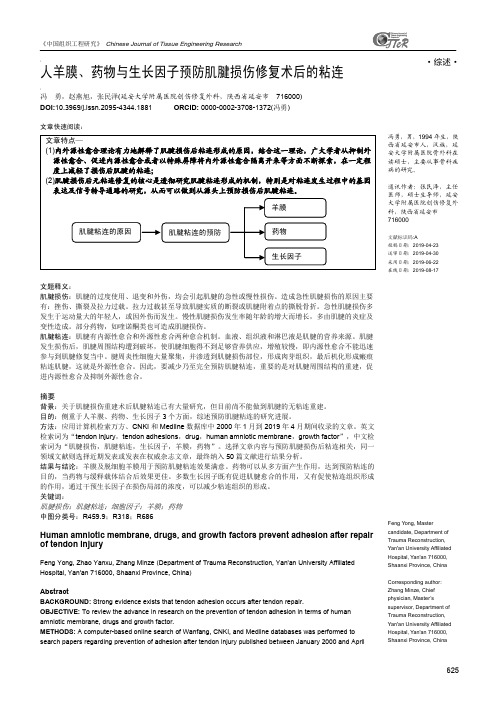 人羊膜、药物与生长因子预防肌腱损伤修复术后的粘连