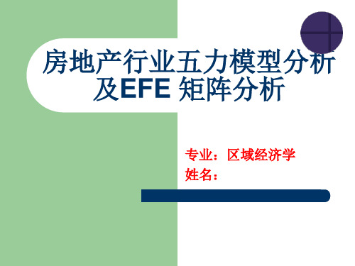 五力模型及EFE矩阵