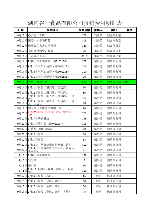 公司员工报销费用明细表