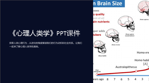 《心理人类学》课件