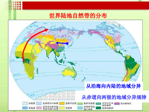 人教版高中地理必修1：第五章-第二节--自然地理环境的差异性(共23张PPT)