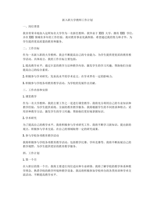 新入职大学教师工作计划