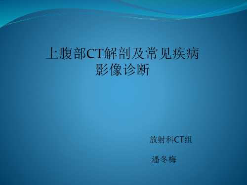 上腹部CT解剖及常见疾病影像诊断