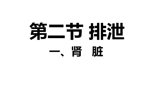 冀少版生物七下2.3.2《排泄-肾脏》实用教学课件(共34张PPT)