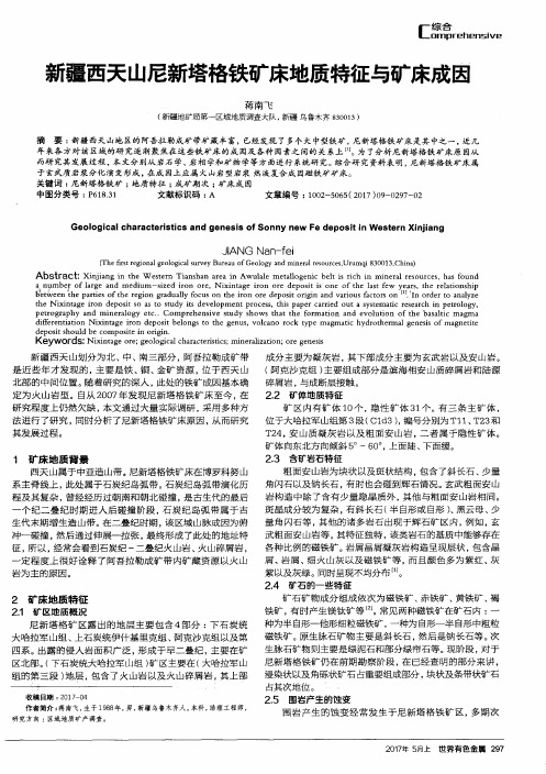 新疆西天山尼新塔格铁矿床地质特征与矿床成因
