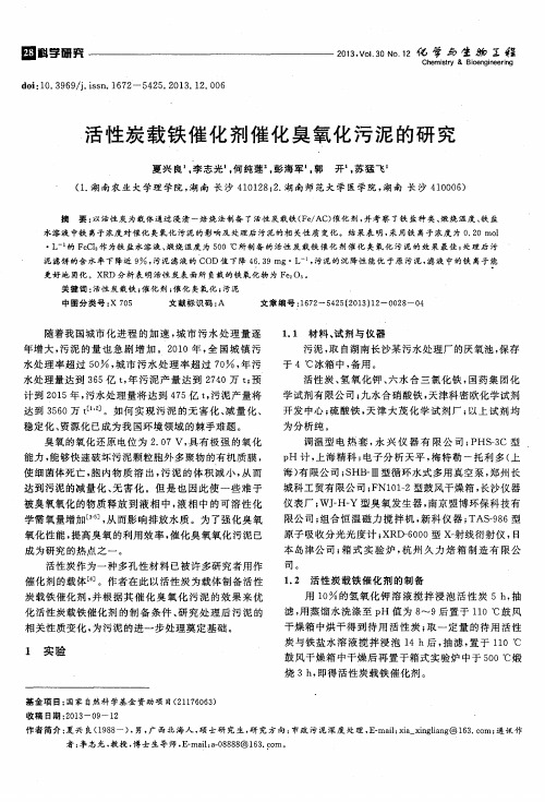 活性炭载铁催化剂催化臭氧化污泥的研究