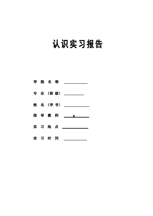 化工专业认知实习-实习报告-中盐红四方