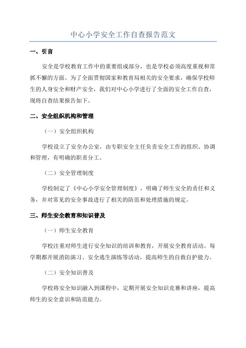 中心小学安全工作自查报告范文