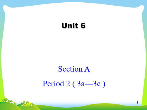 【最新】人教版初中英语课标版 九年级第六单元Section A 3a—3c(共20张PPT).ppt