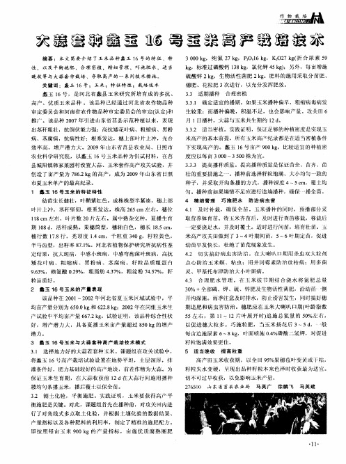 大蒜套种蠡玉16号玉米高产栽培技术