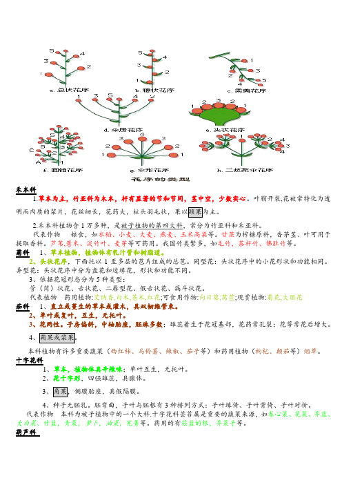 植物分类学重要十科