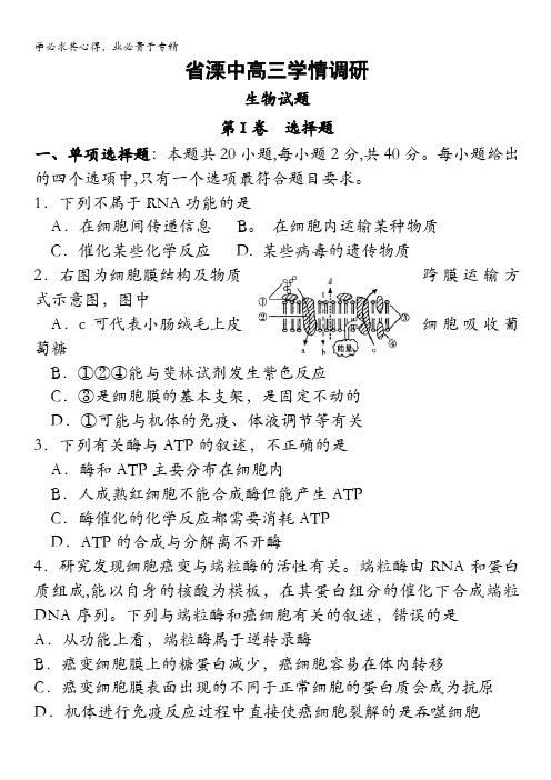 江苏省溧水高级中学2012届高三上学期学情调研(生物)