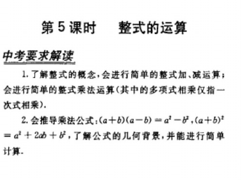 中考数学复习整式的运算[人教版]