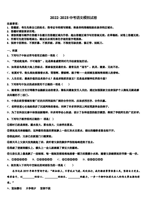 河南省郑州市河南省实验中学2022-2023学年中考语文模拟预测试卷含解析