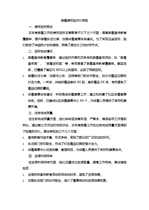 禁毒绩效自评价报告