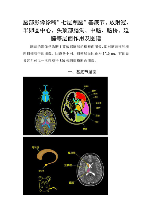 脑部影像诊断”七层颅脑”基底节、放射冠、半卵圆中心、头顶部脑沟、中脑、脑桥、延髓等层面作用及图谱