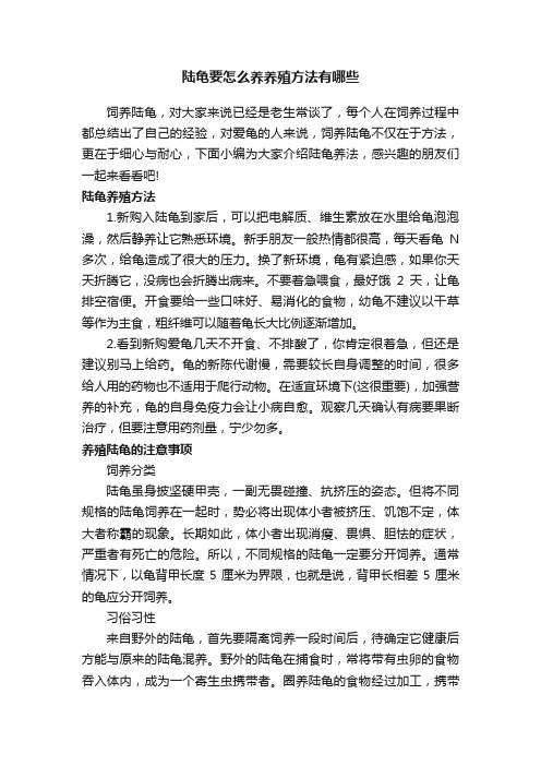 陆龟要怎么养养殖方法有哪些