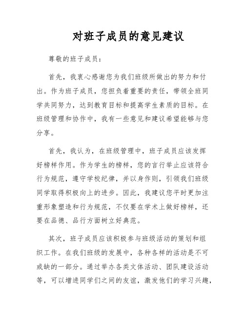 对班子成员的意见建议