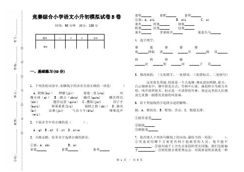 竞赛综合小学语文小升初模拟试卷B卷