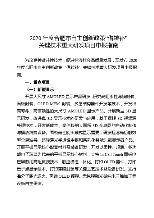 2020年度合肥市自主创新政策借转补