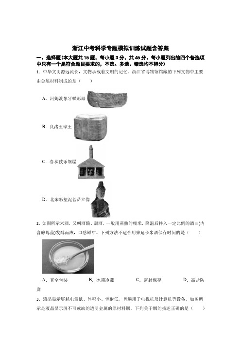 浙江中考科学专题模拟专题训练试题含答案-5套