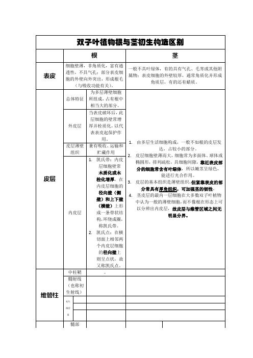 双子叶植物根与茎初生构造区别