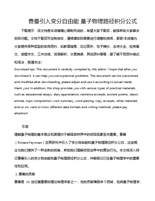 费曼引入变分自由能 量子物理路径积分公式