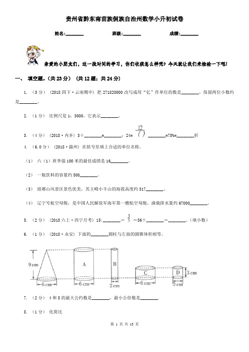 贵州省黔东南苗族侗族自治州数学小升初试卷