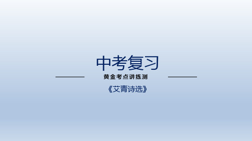 中考语文专题复习9名著阅读之《艾青诗选》