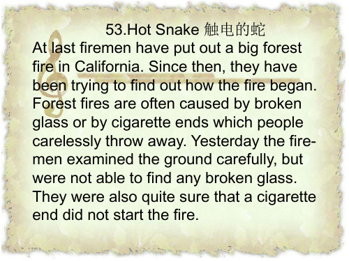 第二册新概念英语NCE2_Lesson53 Hot snake(共22页)最新精品课件.ppt