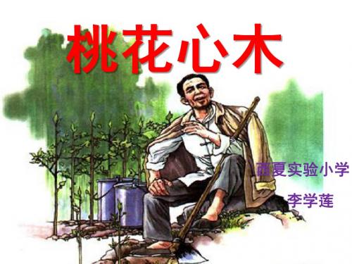 语文人教版六年级下册《桃花心木》第二课时教学课件