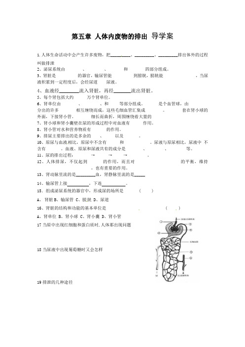 第五章 人体内废物的排出 导学案.doc