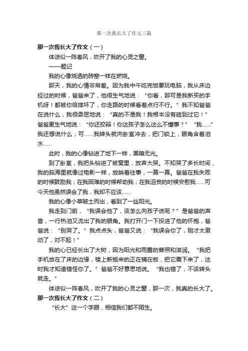 那一次我长大了作文三篇