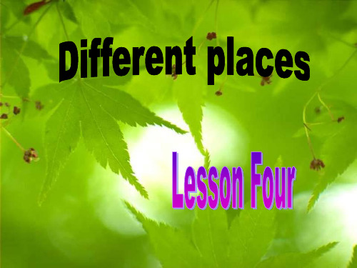 牛津沈阳版英语七下Module 2《Unit 3 Different places》(Lesson 4)ppt课件